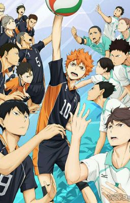 Haikyuu × Reader (German) [Anfragen Geöffnet]