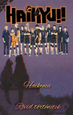 Haikyuu rövid történetek