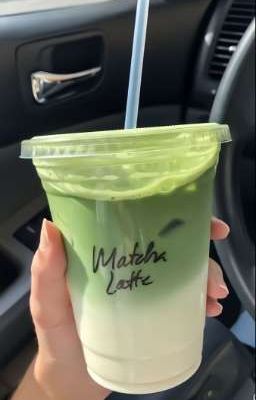 [ Haikyuu ] Sakusa và cuộc hành trình tìm gốc Văn