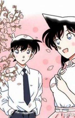 [HakuAi][ShinRan][HeiKaz][KaiAo] Xuôi dòng thời gian