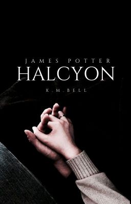 HALCYON ⟶ James Potter