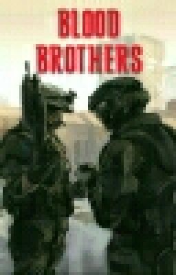 HALO: BLOOD BROTHERS