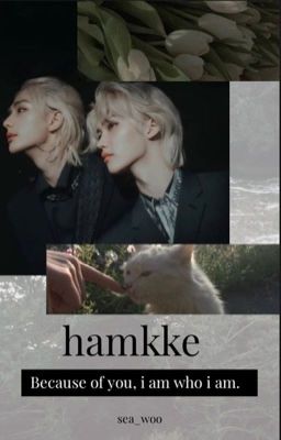 hamkke  [Hyunlix] TERMINÉ