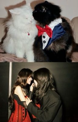 [Hanyeol] Em Linh và bạn lớn nũng nịu của em ấy