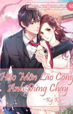 Hào Môn Lão Công, Anh Đừng Chạy