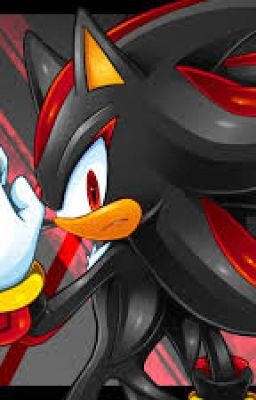 Happy Birthday Shadow! (Sonadow oneshot)