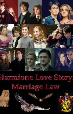 Harmione Love Story: Marriage Law