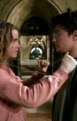 [Harmione] WHEN THEY GAVE EACH OTHER KNOWING LOOKS