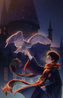 Harry Potter đồng nhân 