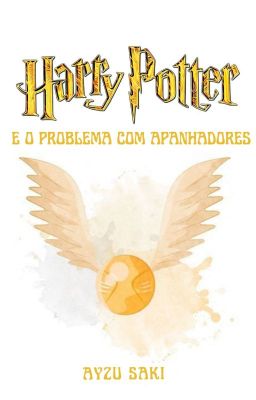 Harry Potter e o problema com apanhadores