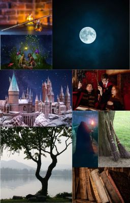 HARRY POTTER ONE SHOTS. ( Discontinued. )