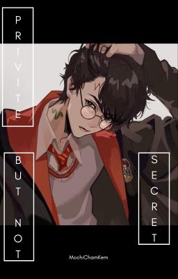 [Harry Potter] Private but not Secret