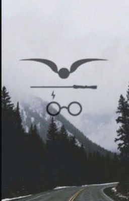 Harry Potter Ship it or Rip it