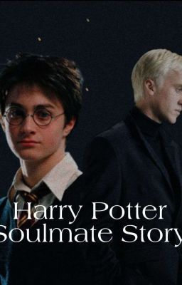 Harry Potter Soulmates Story