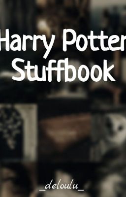 Harry Potter Stuff Book (50 Follower Special)