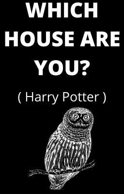 Harry Potter:  WHICH HOUSE ARE YOU?