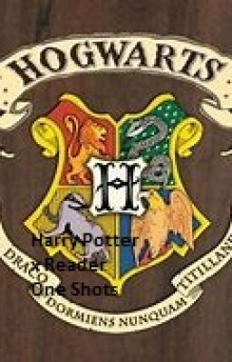 Harry Potter x Reader One Shots