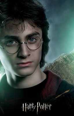 Harry Potter zu Besuch