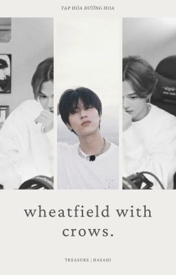 Hasahi | oneshot | wheatfield with crows.