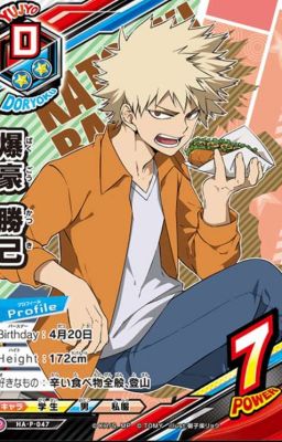 Hass oder doch Liebe? (Bakugo x Reader)