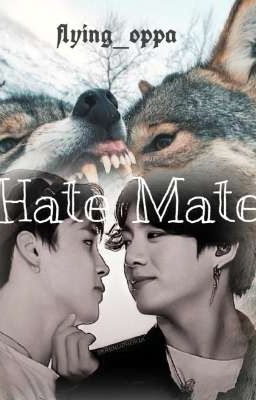 Hate Mate / Jikook 