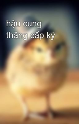 hậu cung thăng cấp ký