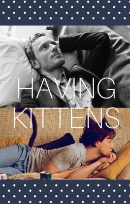 Having Kittens   // Cherik