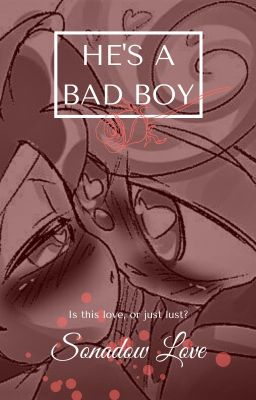 He's a Bad Boy (Bendystaw)