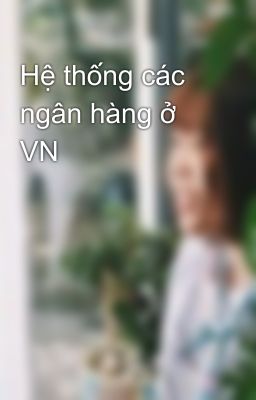 Hệ thống các ngân hàng ở VN