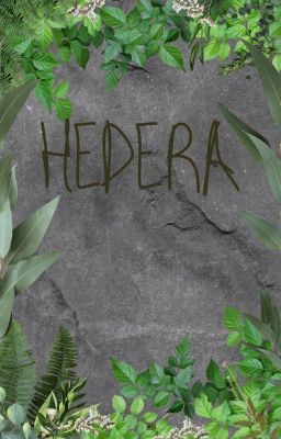 Hedera