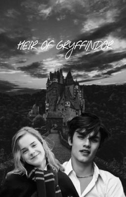 Heir Of Gryffindor(Hermione X Male Reader)