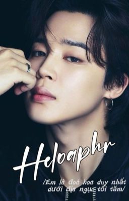 Heloaphr  | Jimin | 