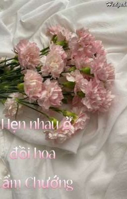 Hẹn Nhau Ở Đồi Hoa Cẩm Chướng 