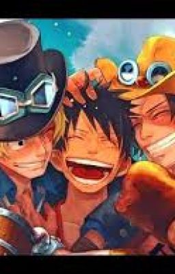 Hermanos sobreprotectores Ace sabo y luffy