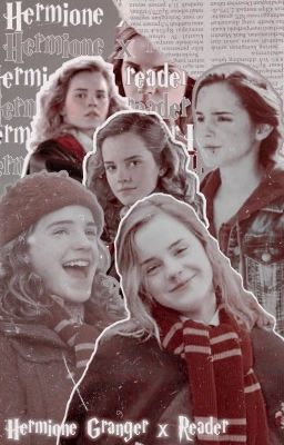 Hermione x Reader