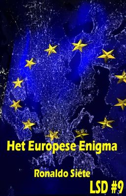 Het Europese Enigma