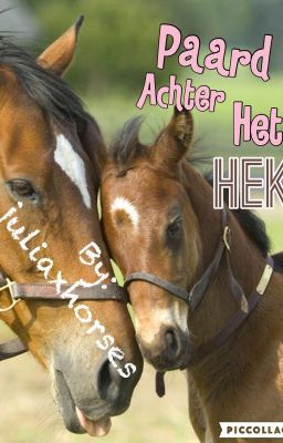 Het Paard Achter Het Hek (Gestopt)