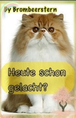 Heute schon gelacht?