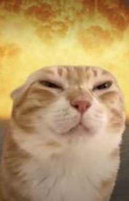 hh
