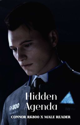 Hidden Agenda |Connor RK800 x Male Reader|