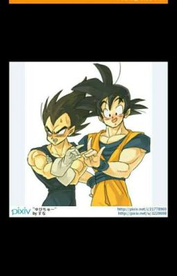 Hidden {Goku X Vegeta}