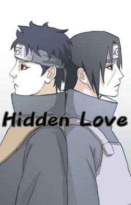 Hidden Love