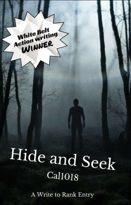 Hide and Seek - Write to Rank entry