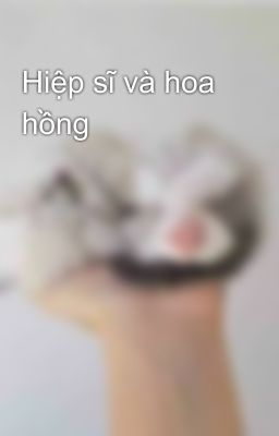 Hiệp sĩ và hoa hồng