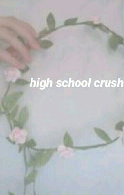 High school Crushes |a septiplier fan fiction|