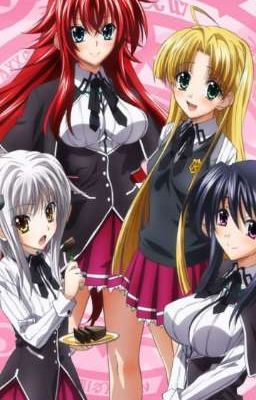 high school Dxd ( Irina x famous male reader)