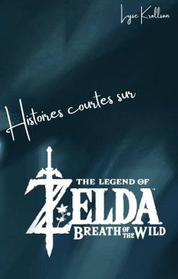 Histoires courtes sur The Legend of Zelda