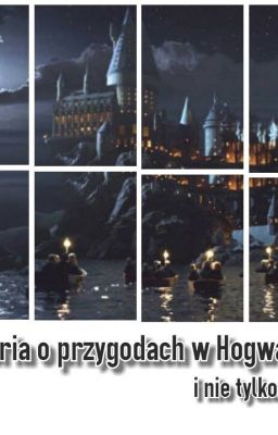 Historia o przygodach w Hogwarcie i  nie tylko (Zawieszone)