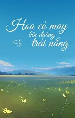 Hoa Cỏ May Bên Đường Trải Nắng