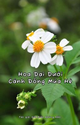 Hoa Dại Dưới Cánh Đồng Mùa Hè 